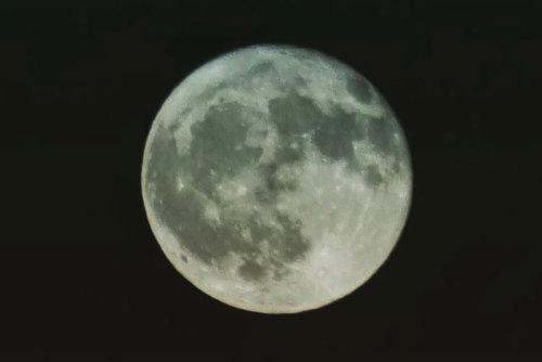 満月　Full moon